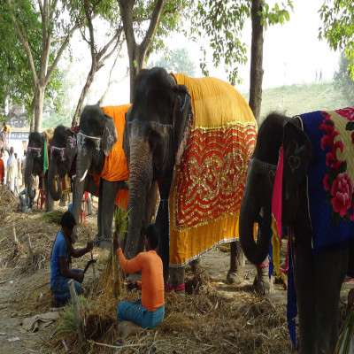 Sonepur Mela Places to See